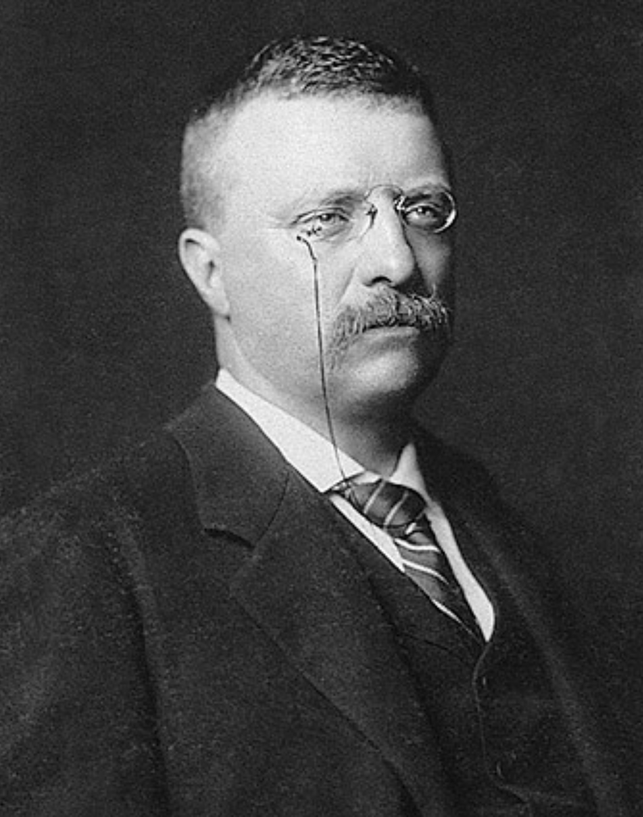 A young Theodore Roosevelt